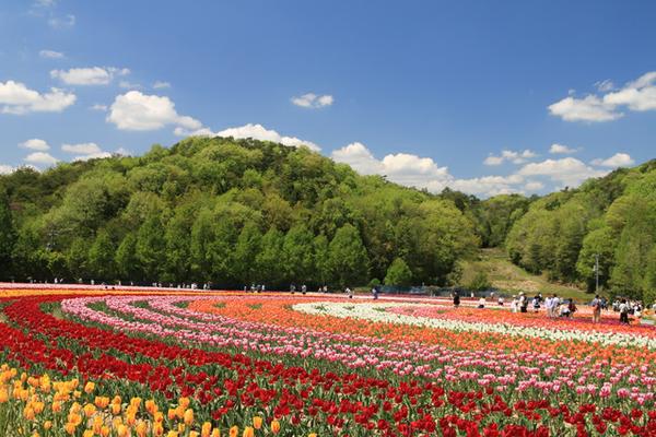 世羅高原農場